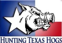 Hunting Texas Hogs 202//142